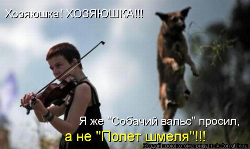 kotomatritsa_l6.jpg