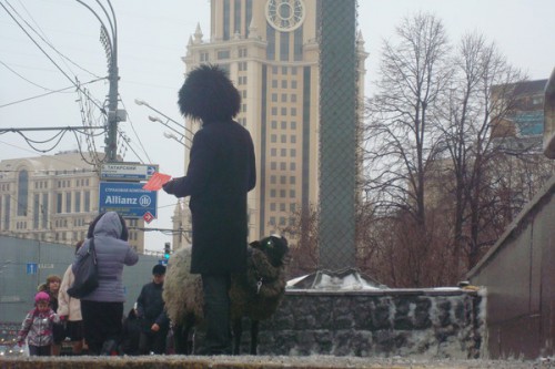 А это увидели в центре Москвы, недалеко от Дома музыки!