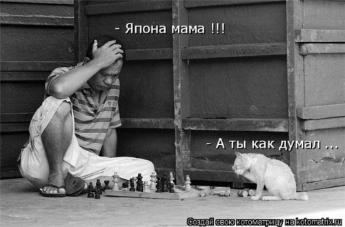 647b3c47c9da.jpg