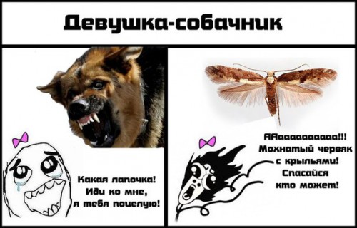 29d136a4d262.jpg