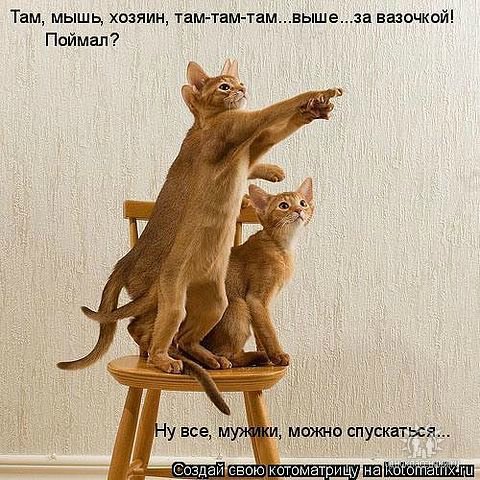 a06447b2bf0c.jpg