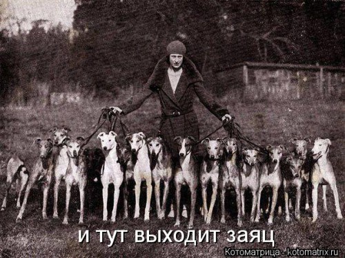 6nKo7Le8fr0.jpg