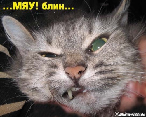 oto_prikoly--oshki__chast_1-ja_23.jpg