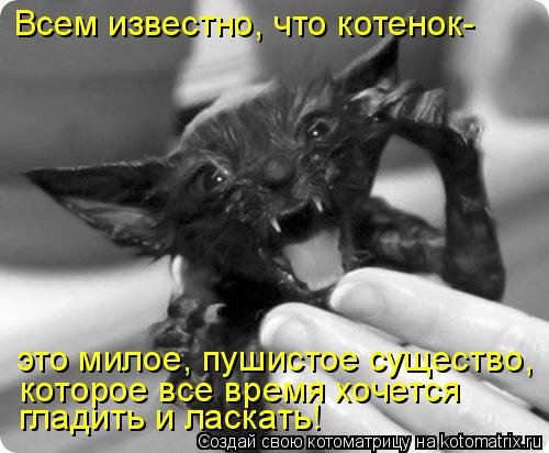 f7f64dfe39d2.jpg