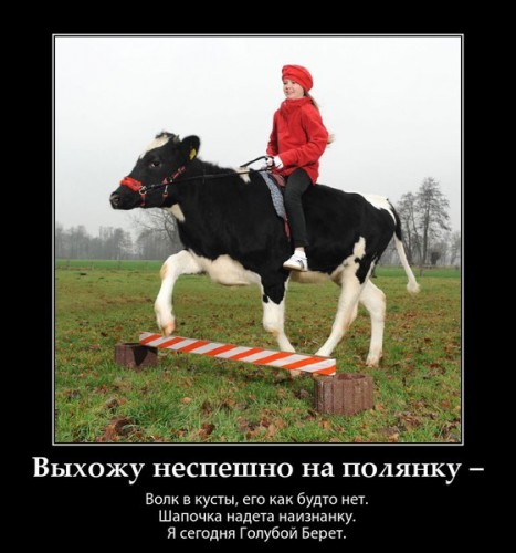 1zyVKYKo_RAmg5CS-zdEnw.jpg