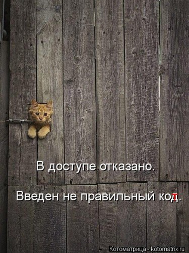 kotomatritsa_N_.jpg