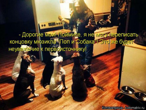 kotomatritsa_Zp.jpg