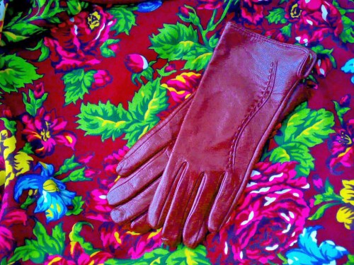 Виноградная лоза