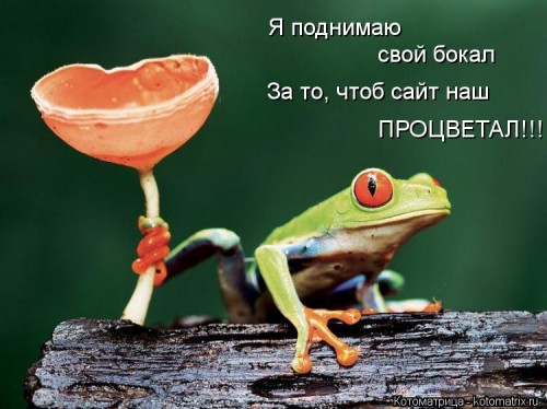 kotomatritsa_O6.jpg