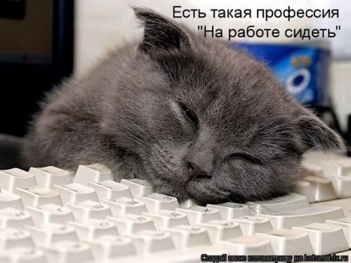 -image-19-84-8ac6beedee826b9a24715c262580dc02.jpg