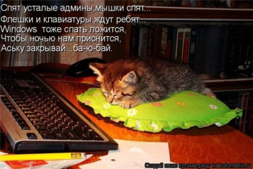 244280-1-f.jpg