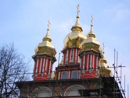 IMG_8738.jpg