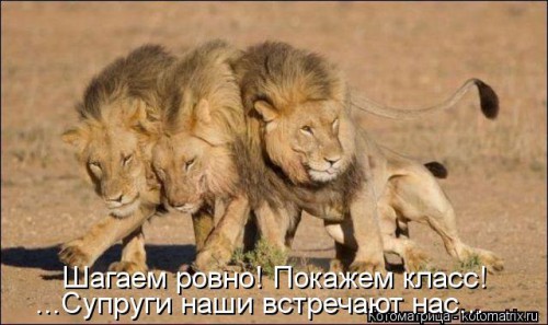 kotomatritsa_94.jpg