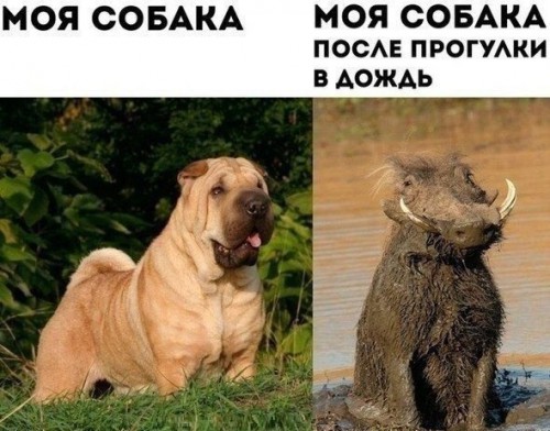 ZK2zn0tFMBk.jpg