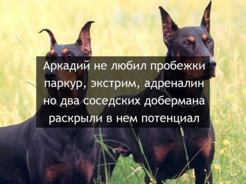 UA35ULp7dV4.jpg