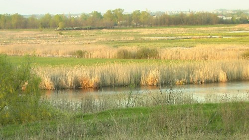 IMGA0663.JPG
