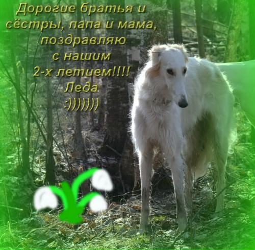 поздравля! мал.jpg