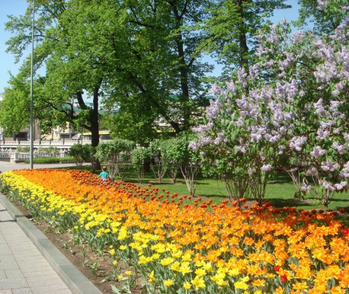 Моск2.jpg