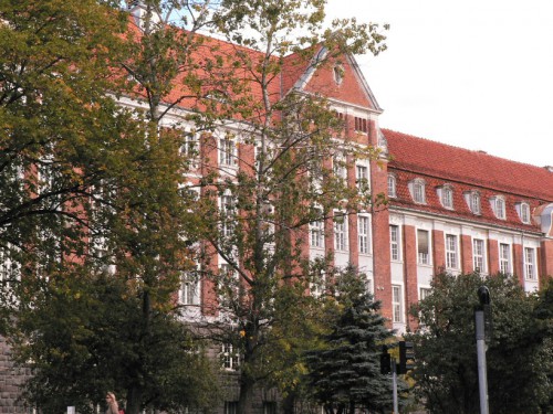19.JPG