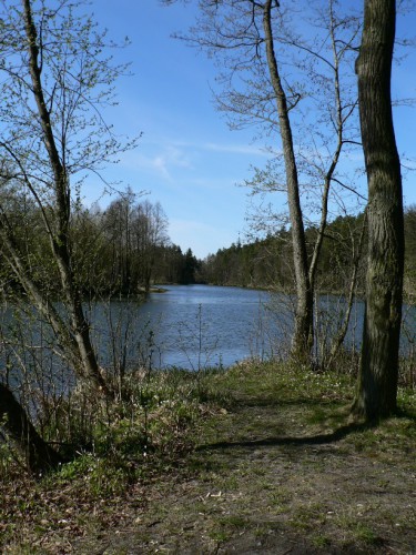 25.JPG