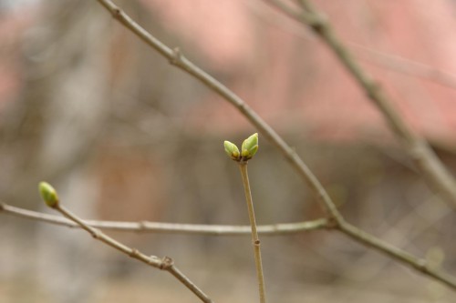 DSC01150.JPG