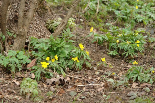 DSC01076.JPG