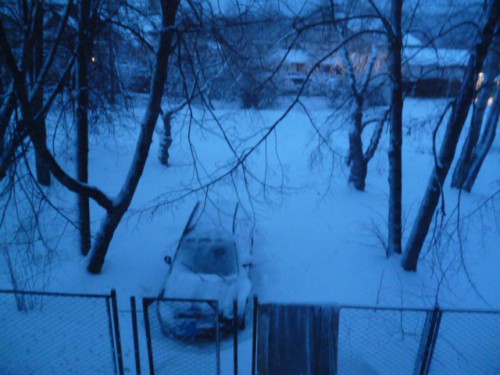 P1020299.JPG