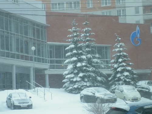 P1000895.JPG
