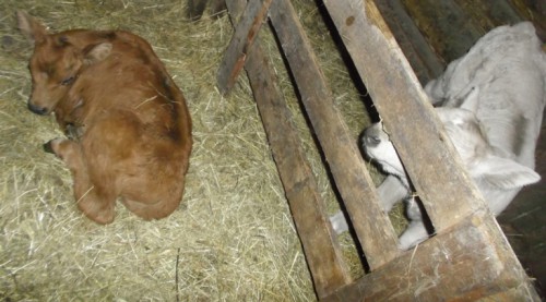 DSCF2159.JPG