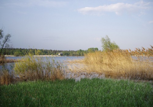 IMGP5369.JPG