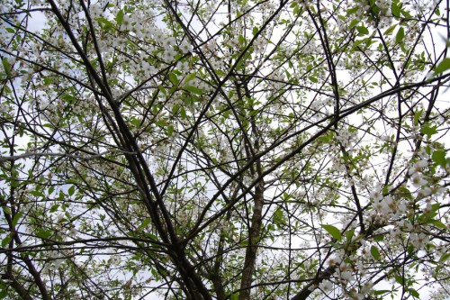 crop_82836710_QbU8.jpg