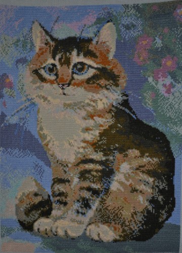 Котик.jpg