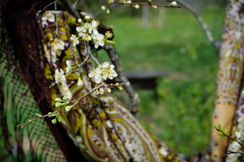 DSC_2946.JPG