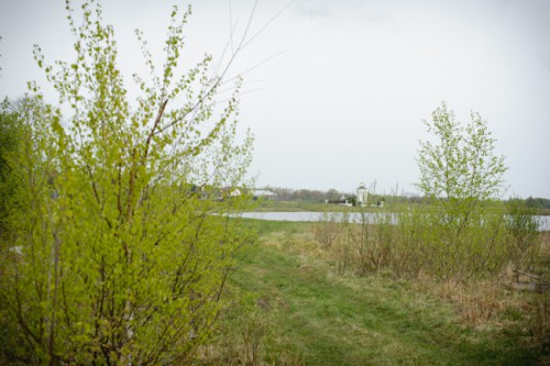 DSC_2934.JPG