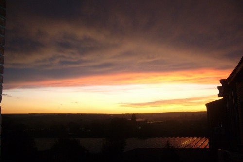 P1020539.jpg