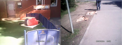 утро 8 июня.jpg