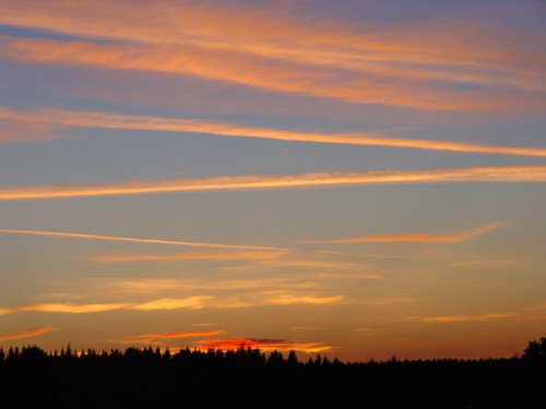 Dsc01480_2.jpg