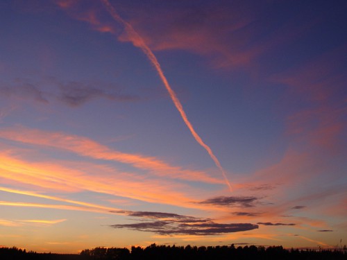 Dsc01485_2.jpg
