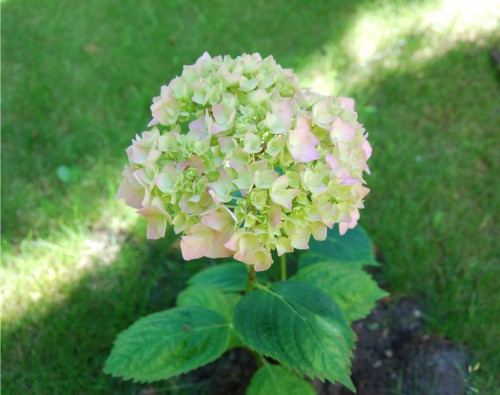 7d0ff02610c9140a1e4cb5275d86d3e9.jpg