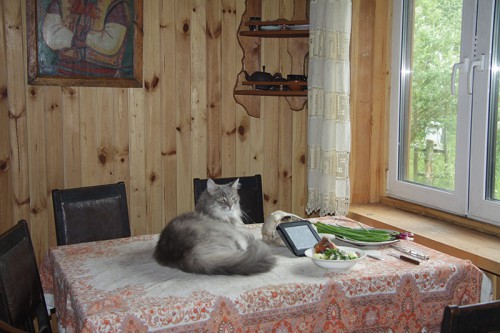 IMG_9477_1.jpg