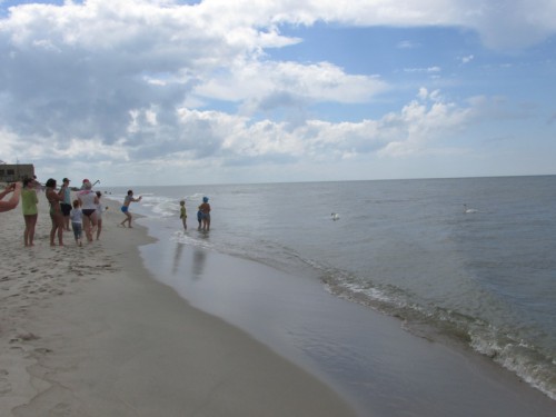 IMG_9513.JPG