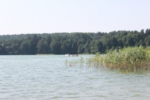 IMG_6524.JPG