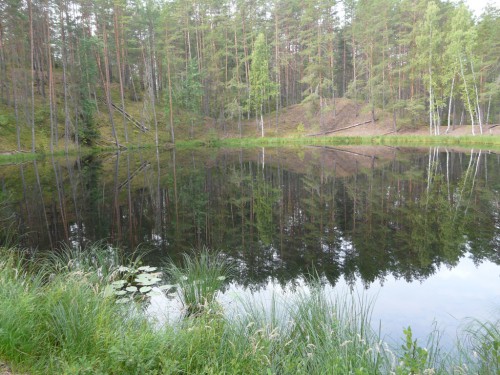 P1030745.JPG
