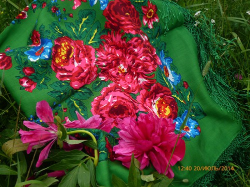 L1000919.JPG