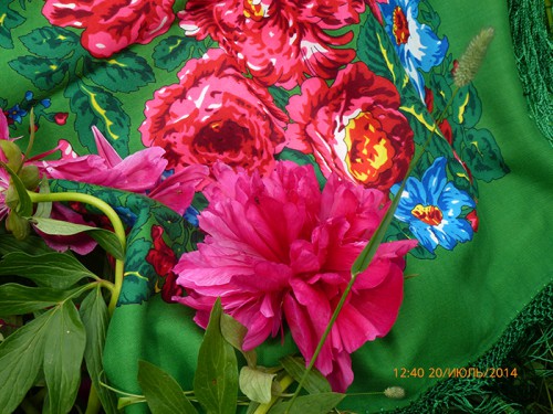 L1000920.JPG