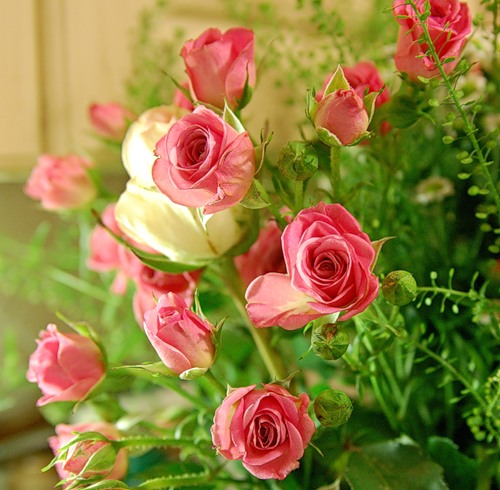 0_1f3a6_87103cb_L.jpg