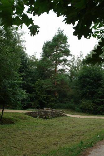 DSC01238.JPG